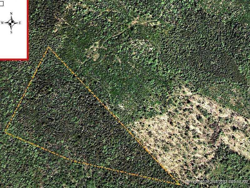 Property Photo:  Lot 19 Timber Cove Road  ME 04607 