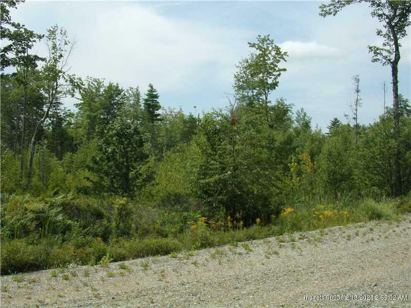 Property Photo:  Lot 6 Tilden Way  ME 04605 