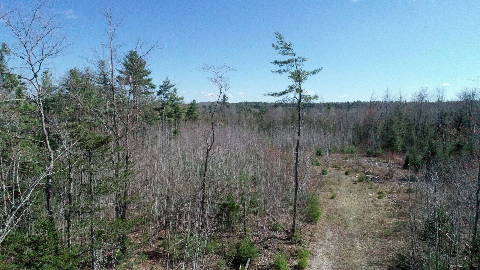 Property Photo:  100 Pyle Road  ME 04605 