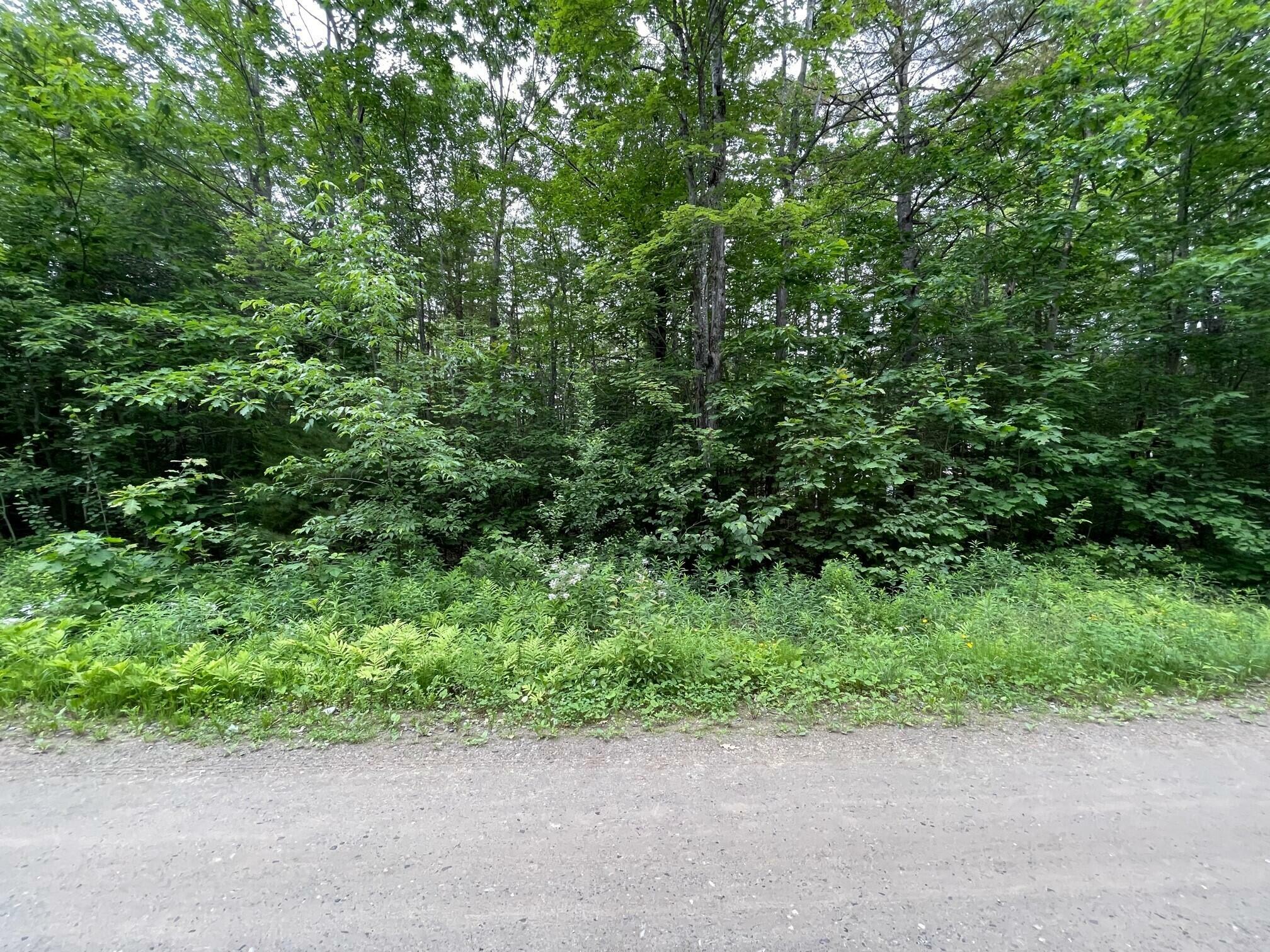 Property Photo:  Lot 3A-5 Canadian Geese Drive  ME 04953 