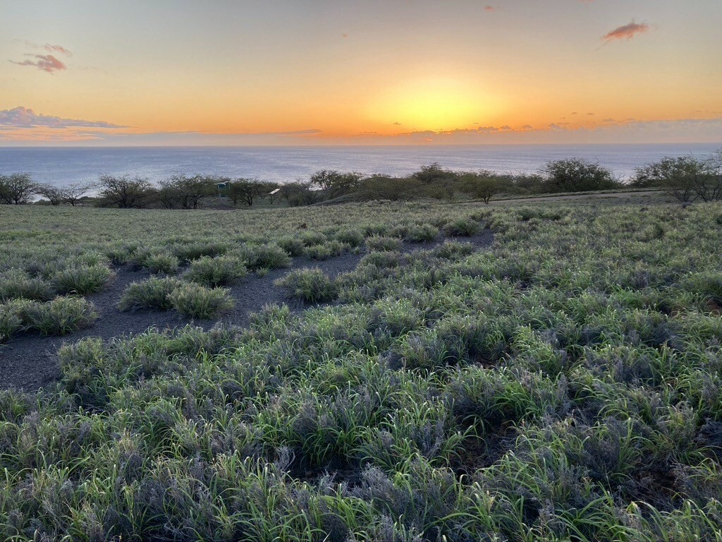 Property Photo:  Kaiholena Pl  HI 96743 
