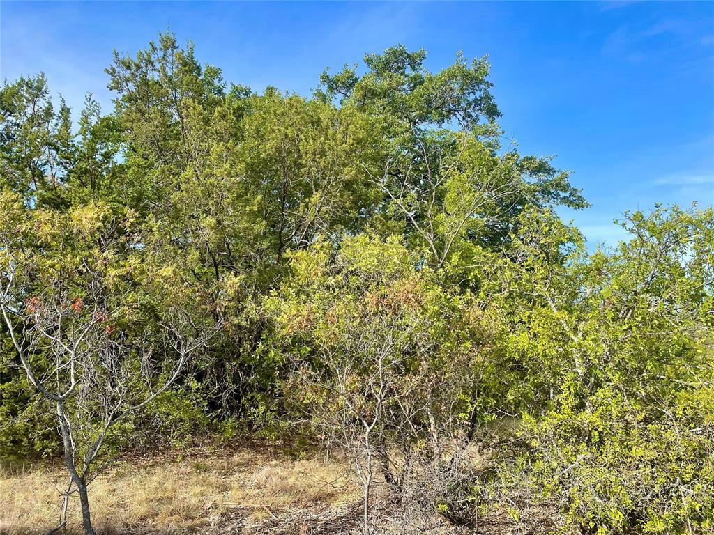 Property Photo:  1055 Autumn Valley  TX 76433 