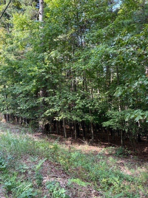 Property Photo:  Lot 959 Spruce Drive  AR 72756 