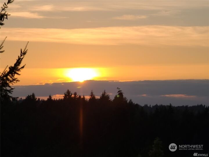 Property Photo:  11402 173rd Avenue Ct E  WA 98391 