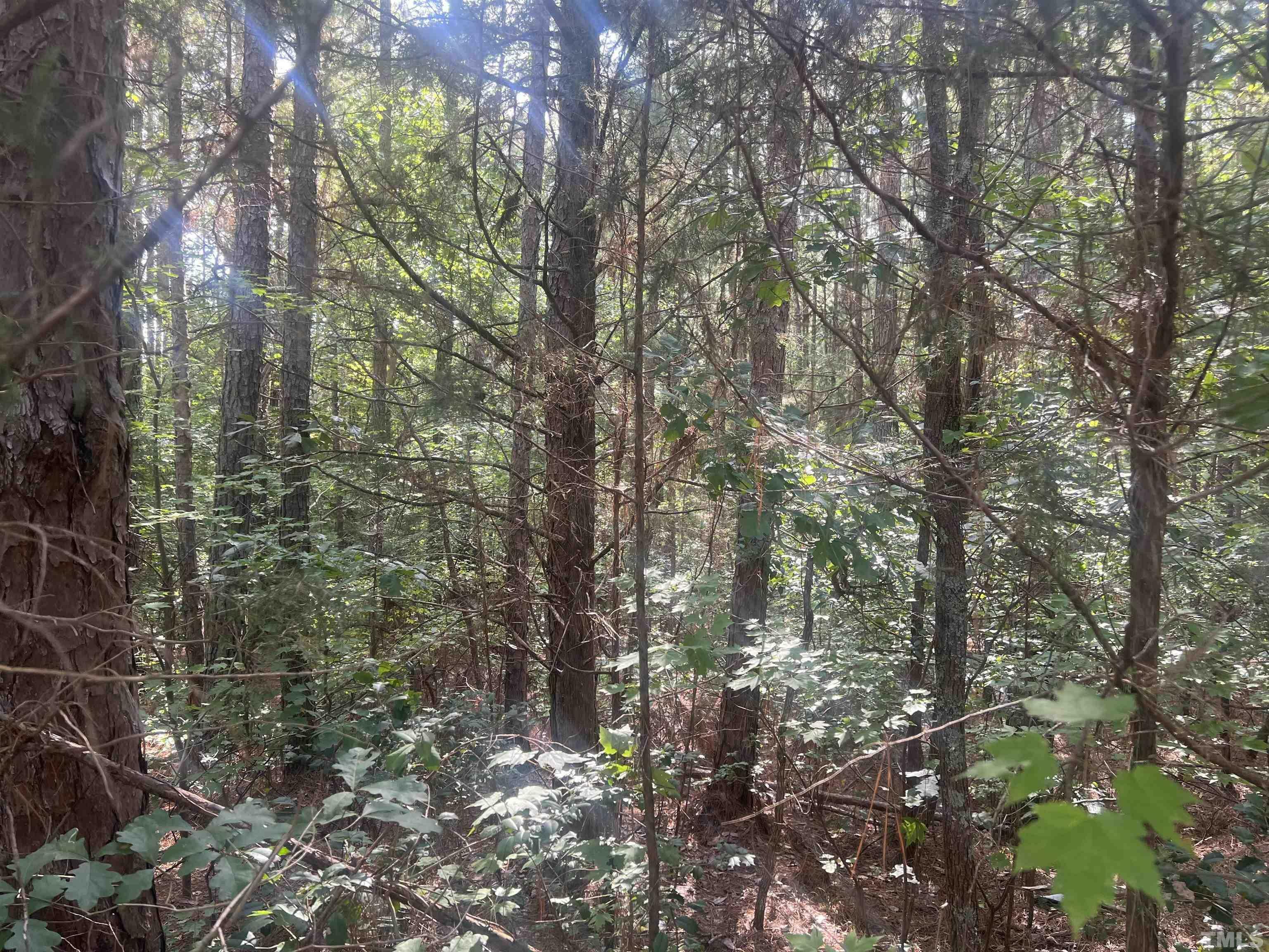 0 Camp Kanata Road  Wake Forest NC 27587-0000 photo