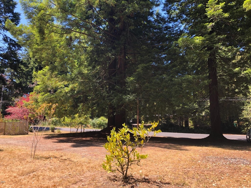 Property Photo: 31930 Simpson Lane CA 95437
