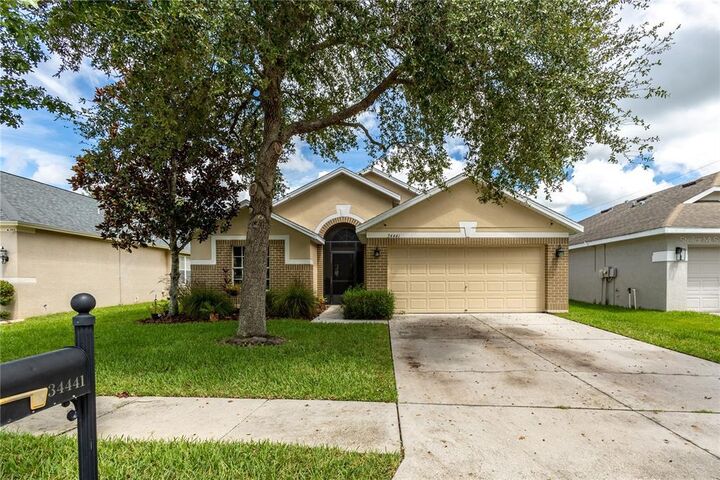 34441 Blue Ash Court  Wesley Chapel FL 33545 photo
