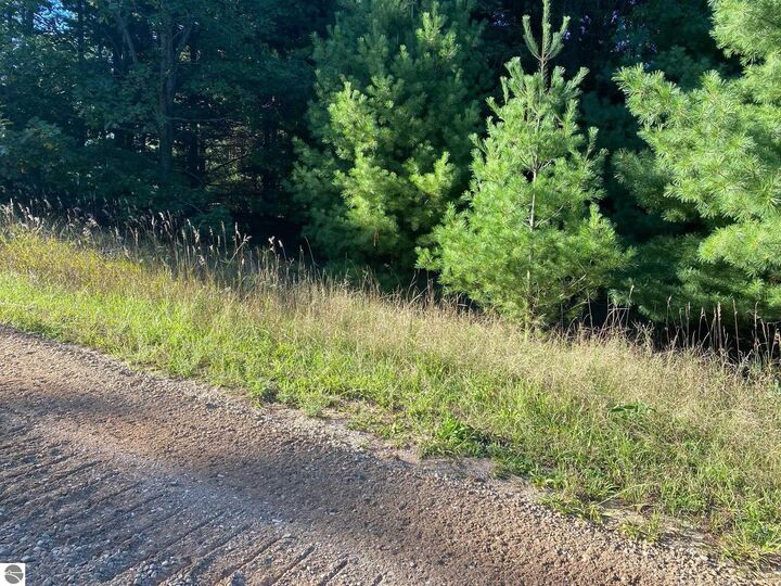 Property Photo:  Allegheny Trail  MI 49631 