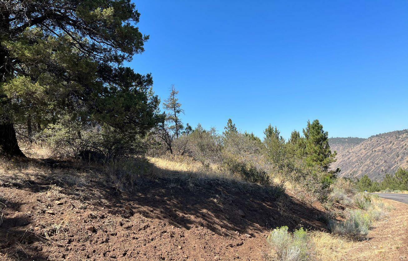 Property Photo:  Lot 56 Peregrine Heights  OR 97601 