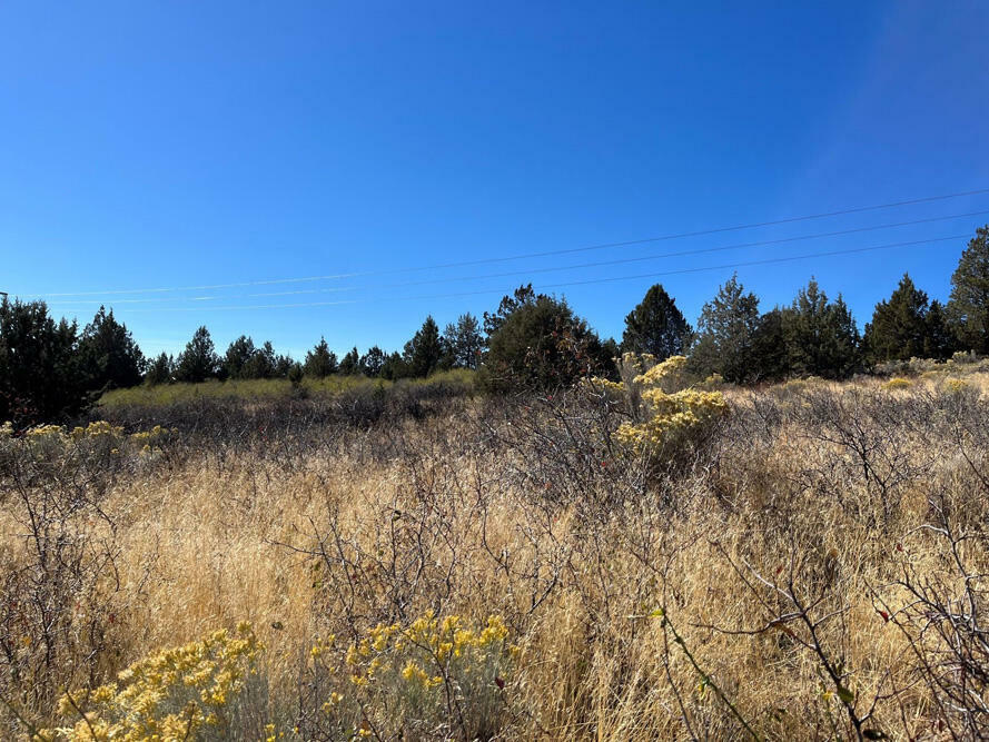 Property Photo:  Lot 79 Peregrine Heights  OR 97601 