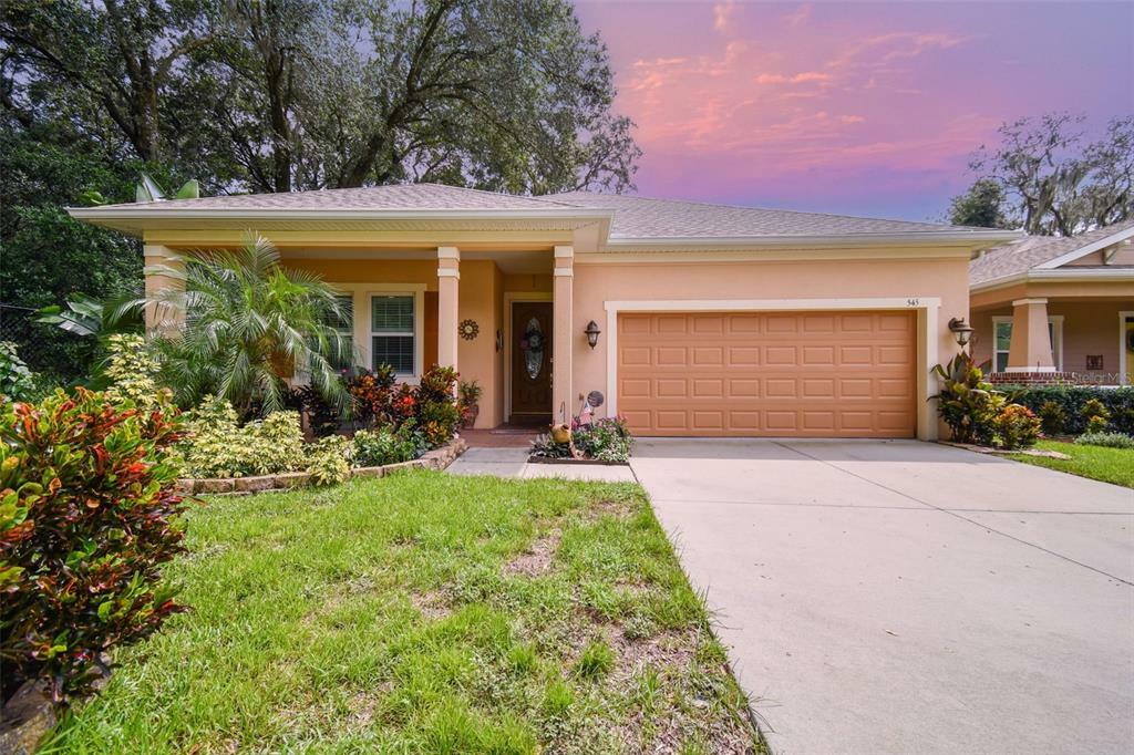 Property Photo:  545 Westchester Hills Lane  FL 33594 