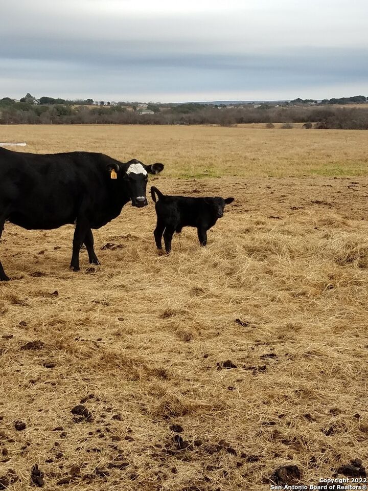 Property Photo: 13857 US Highway 87 S TX 78101