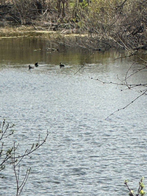 Property Photo: Lot K8023 Dew Drop TX 78657