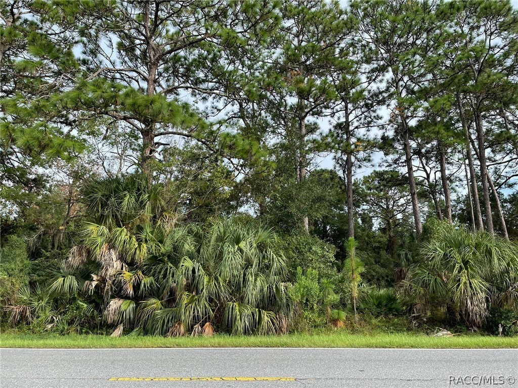 Property Photo:  7860 W Homosassa Trail  FL 34448 