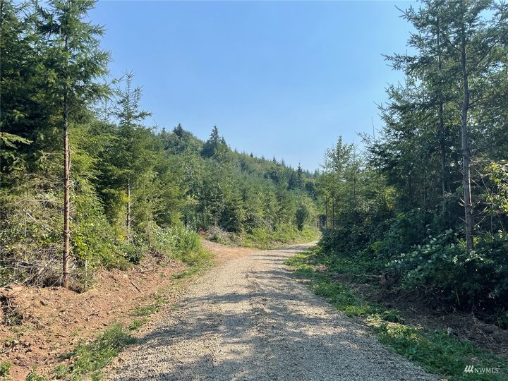 Property Photo:  0  Ostrander Road  WA 98626 