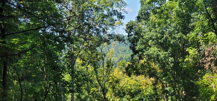 235 County Road 60  Athens TN 37303 photo