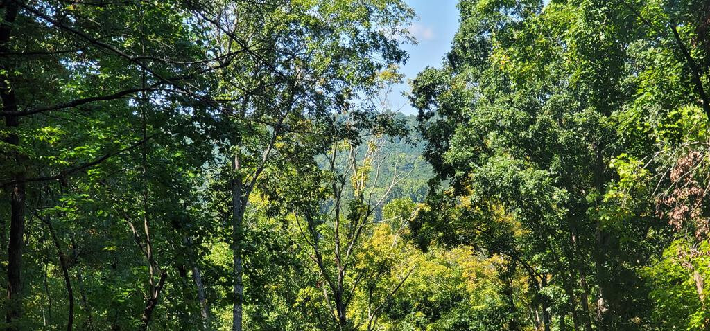 Property Photo: 235 County Road 60 TN 37303
