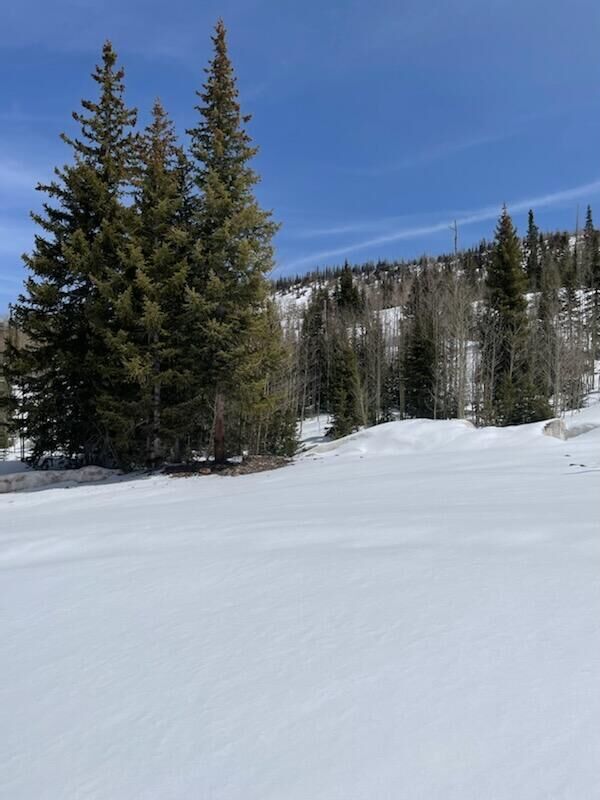 Property Photo:  763 S Snowflake  UT 84719 