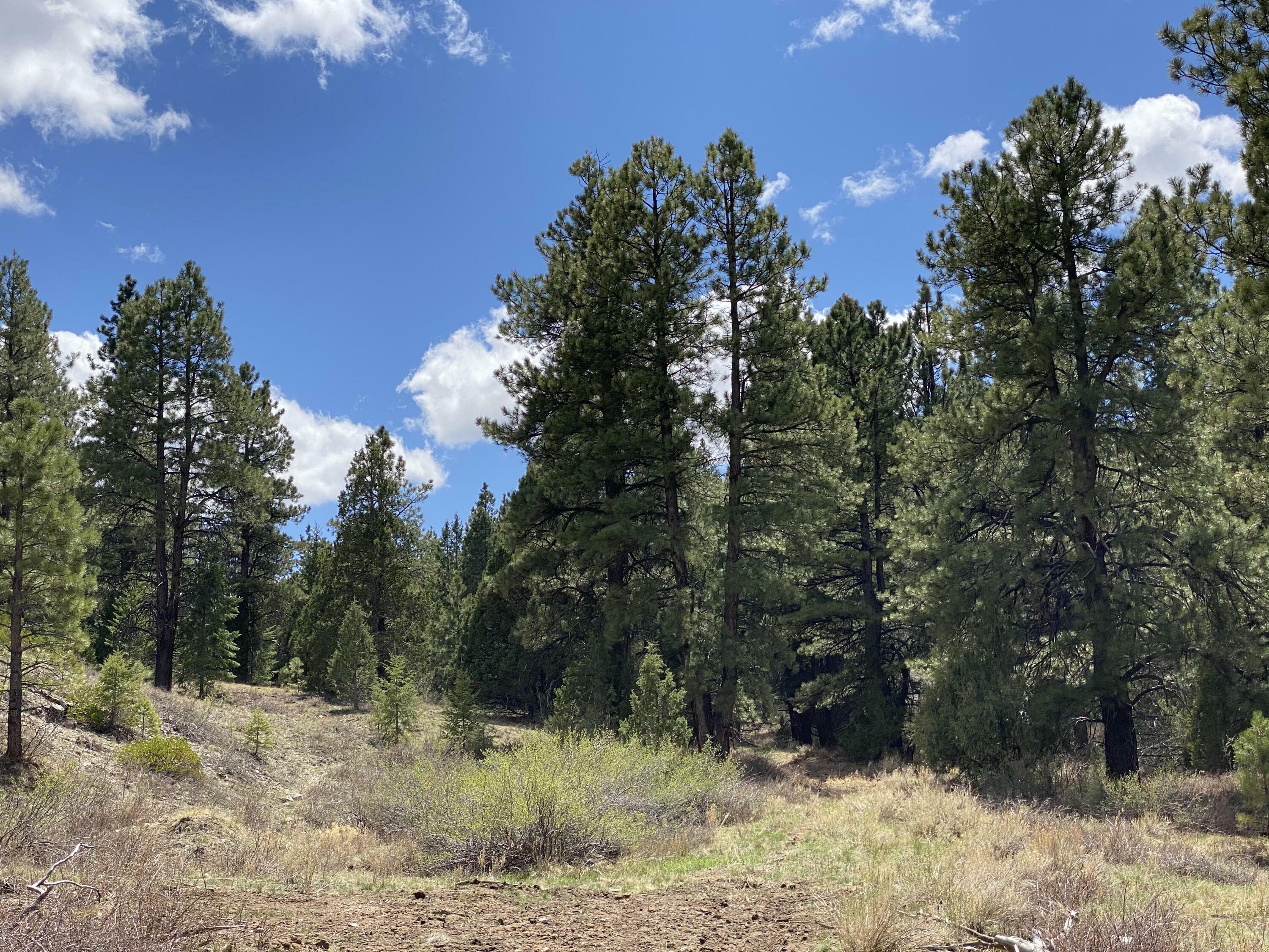Property Photo:  10 Elk Meadows Drive  UT 84762 