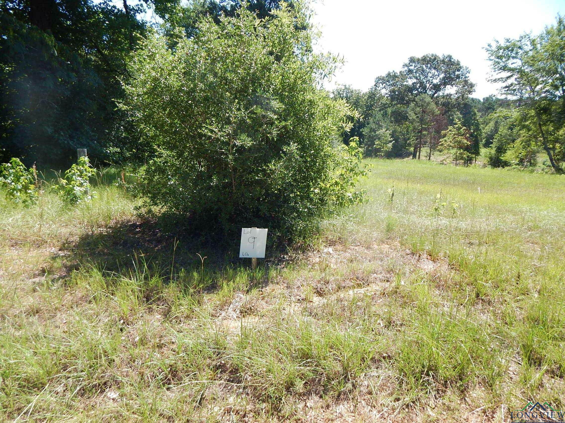 Property Photo:  Tbd Lot 9 Law Rd  TX 75651 