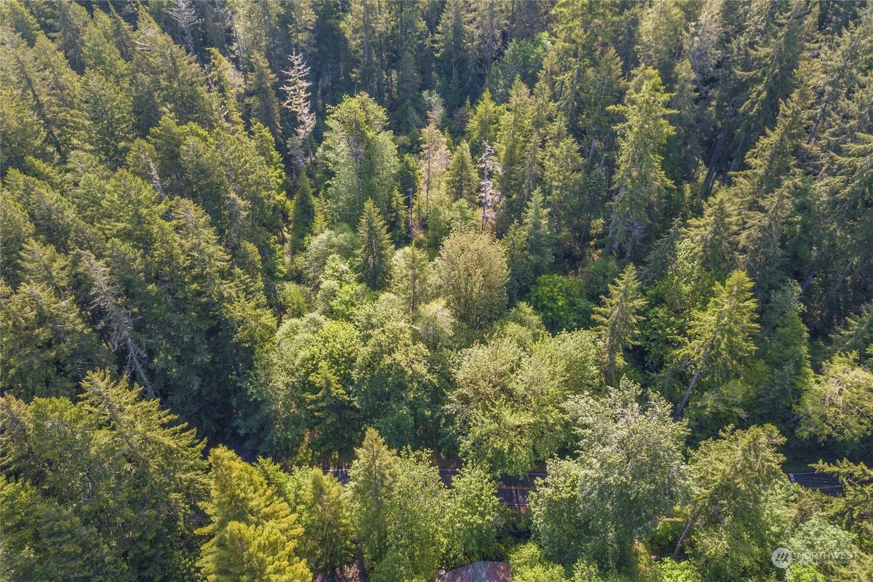 Property Photo:  20 Lot North Shore Road  WA 98528 