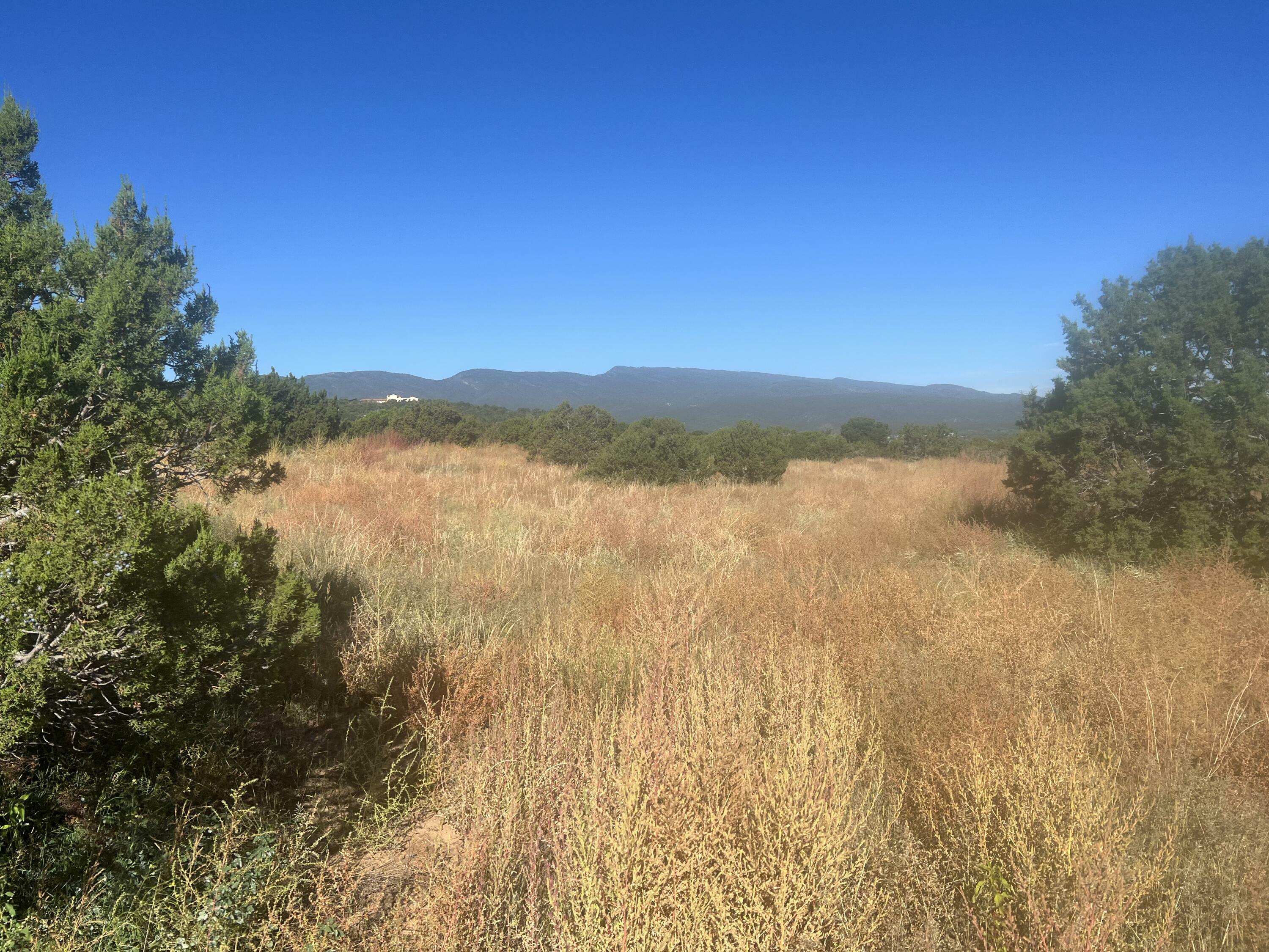 Property Photo:  Bobcat Hill Drive  NM 87047 