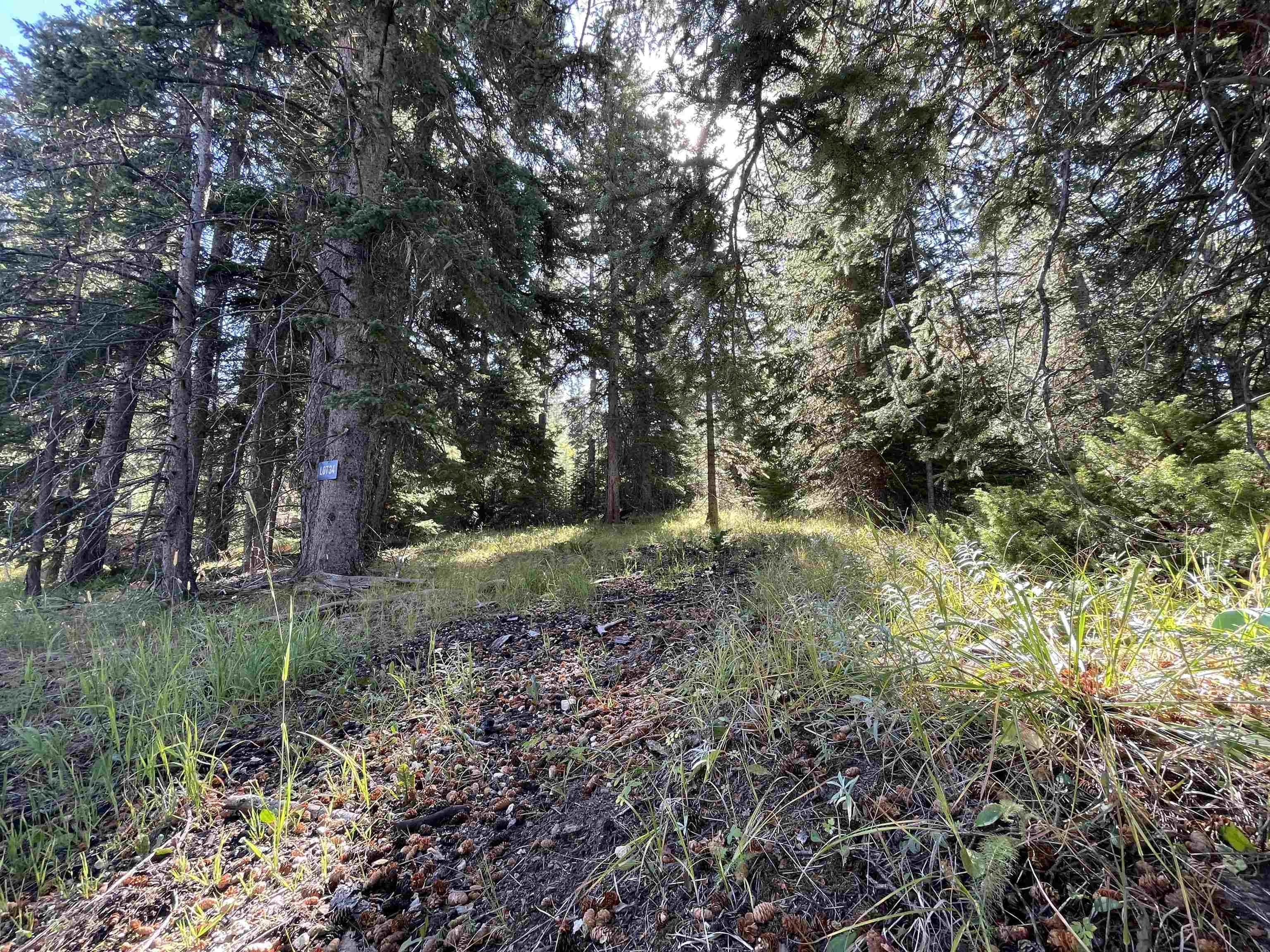 Property Photo:  Lot 34 Woodland Springs Road  SD 57754 