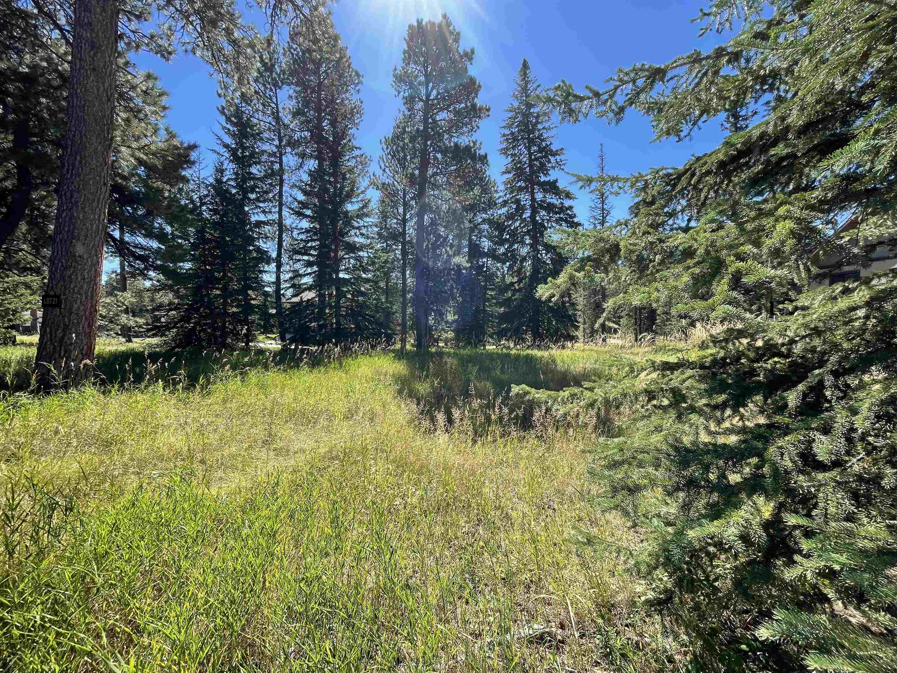 Property Photo:  Lot 21 Woodland Springs Road  SD 57754 