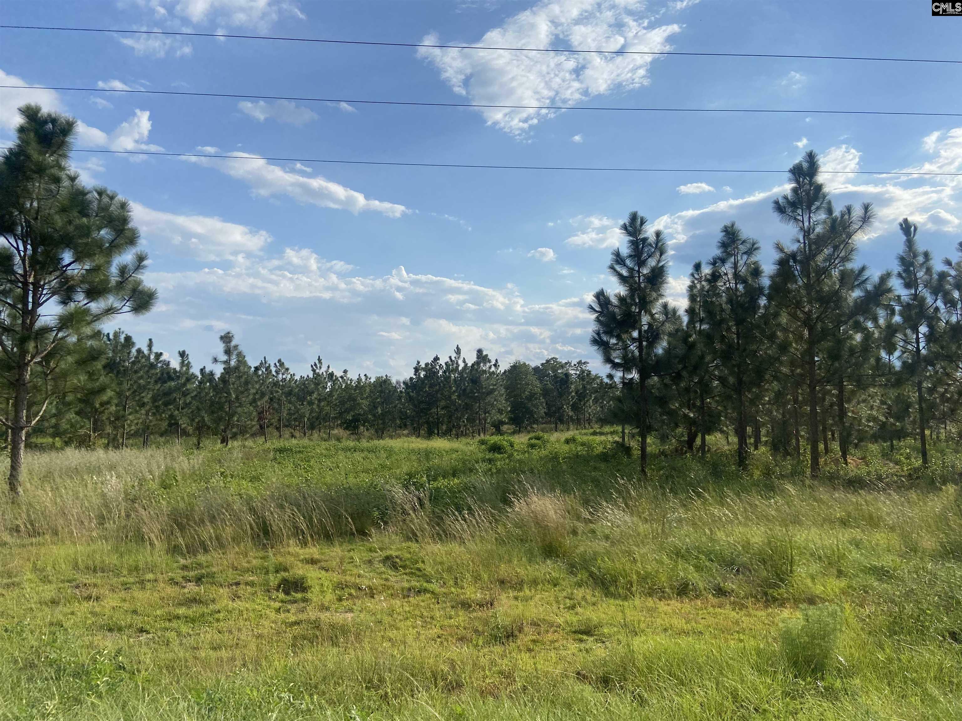 Property Photo:  2953 Bethune Rd Lot 4  SC 29009 