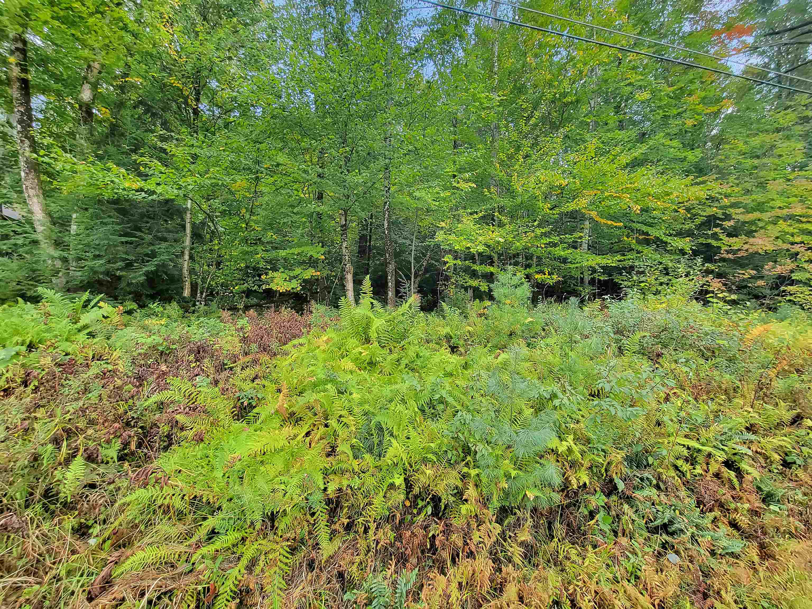 Property Photo: 201-096 Lakeside Drive NH 03784