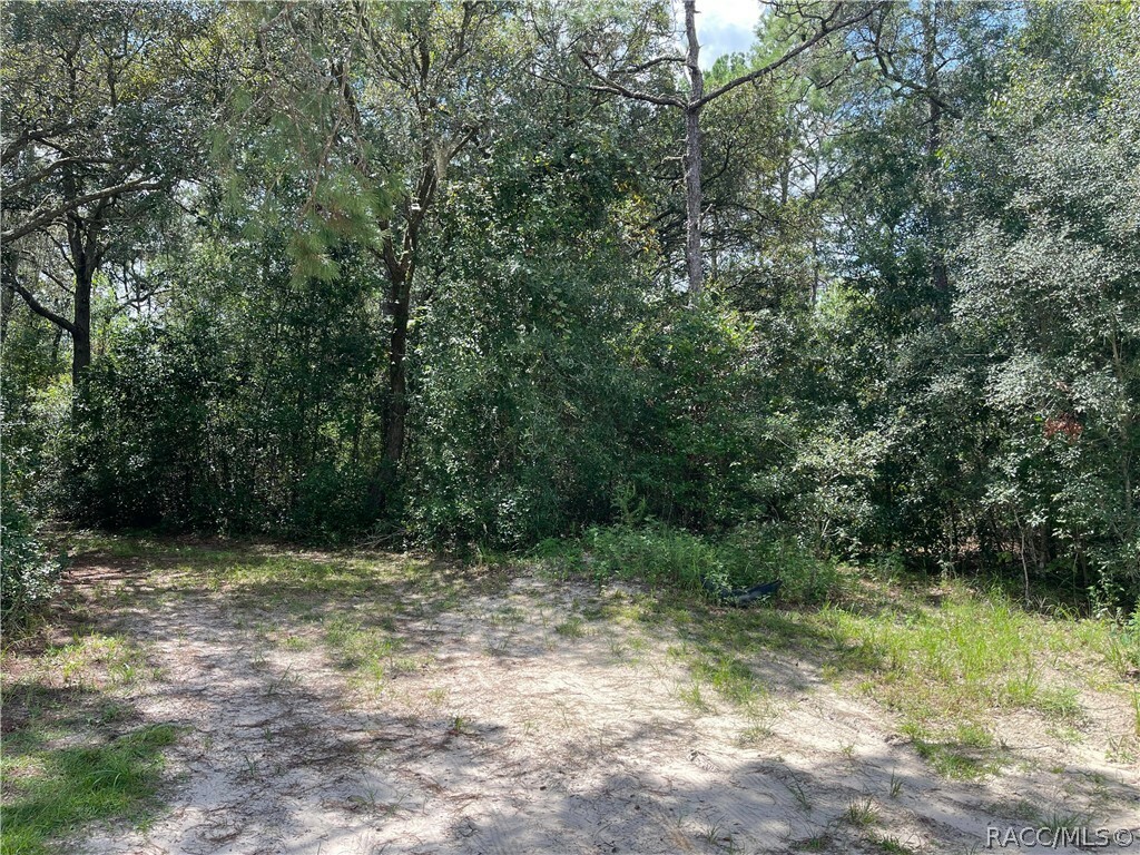 Property Photo:  2720 E Fawn Court  FL 34452 