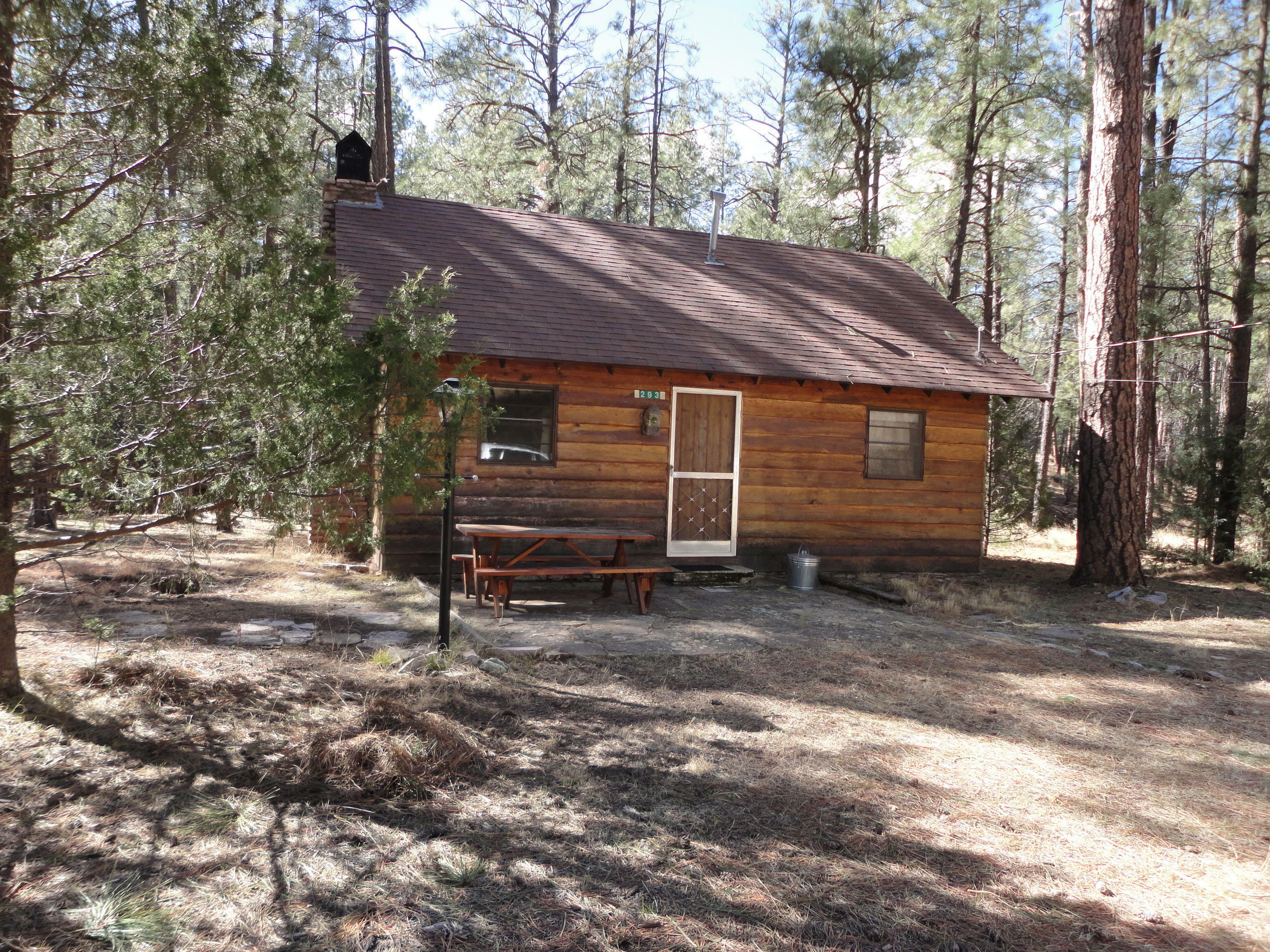 Property Photo:  293 W Diamond Road  AZ 85541 