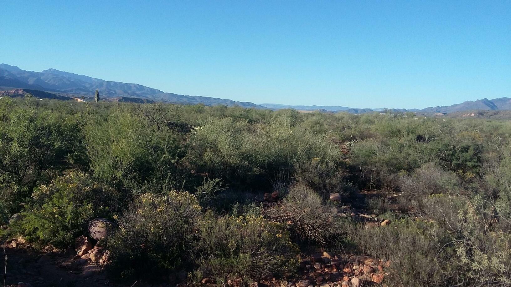 Property Photo:  Parcel 2 Ewing Trail  AZ 85553 