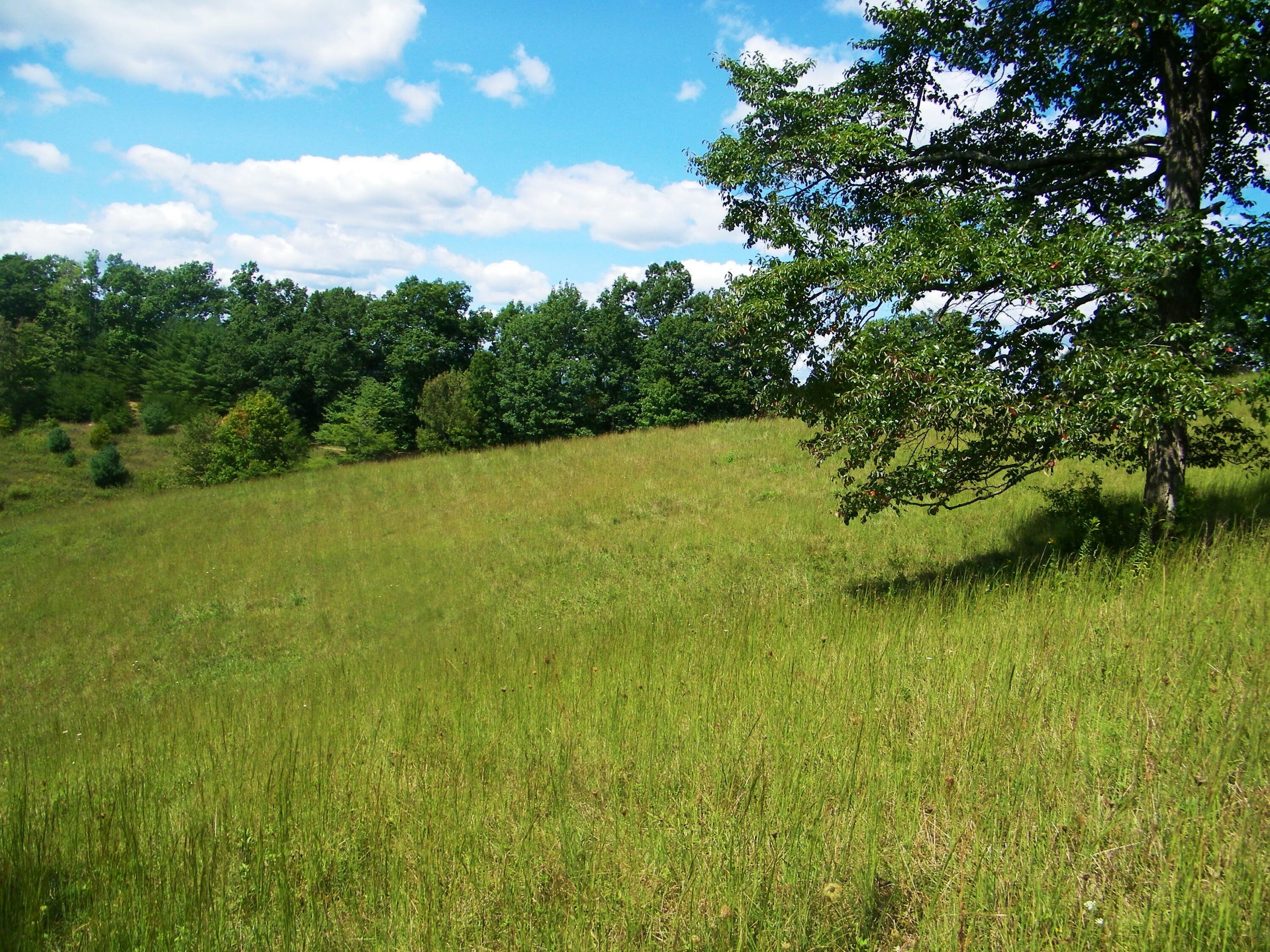 Property Photo:  1629 Shelleys Road  VA 24202 