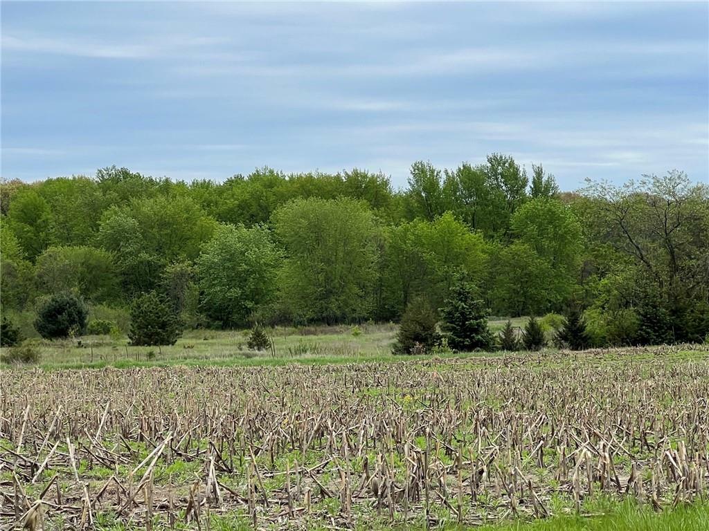 Property Photo:  Lot 21 Mertinke Landing  WI 54701 