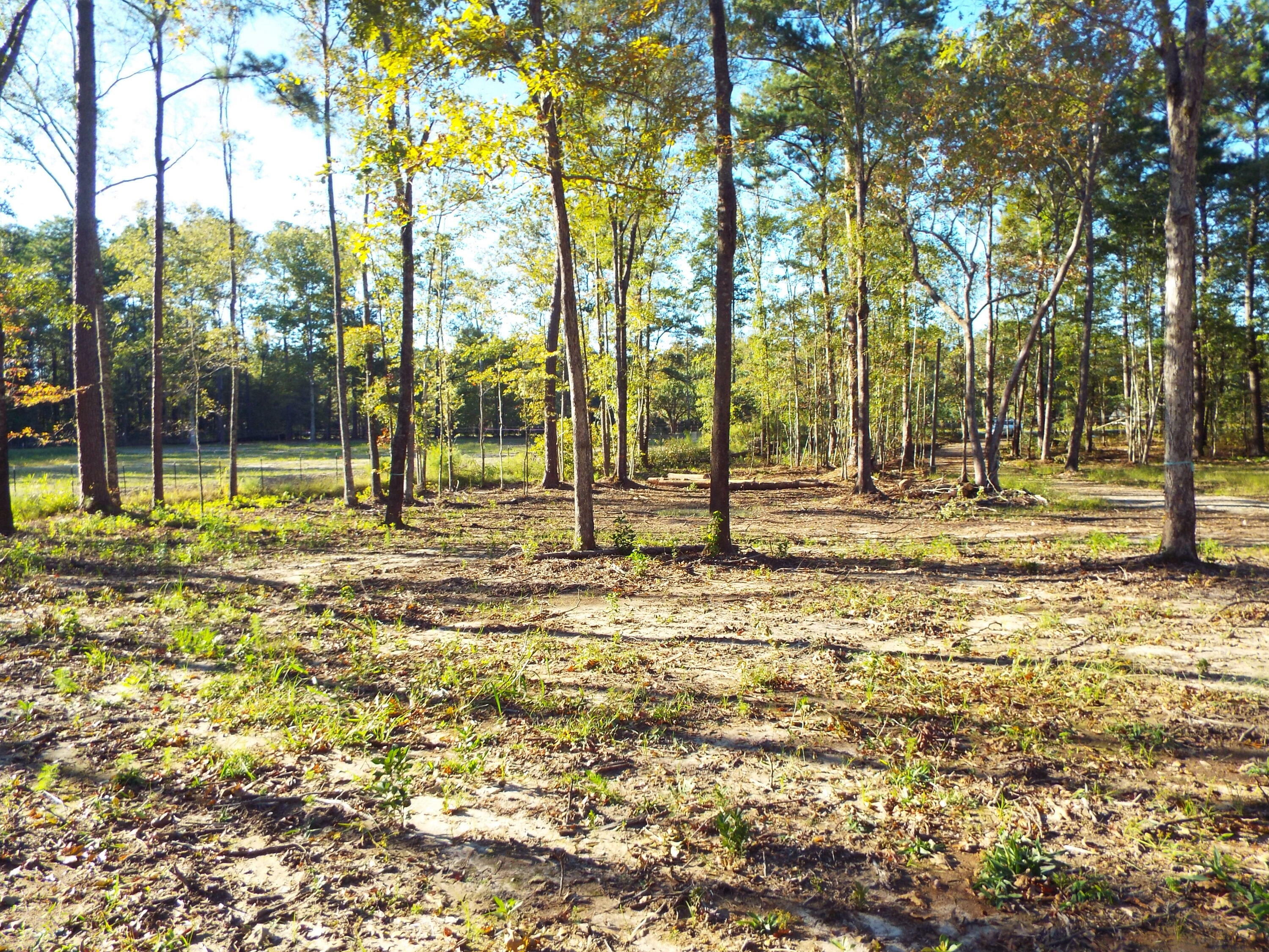 Property Photo:  0 Scotch Range Rd  SC 29483 