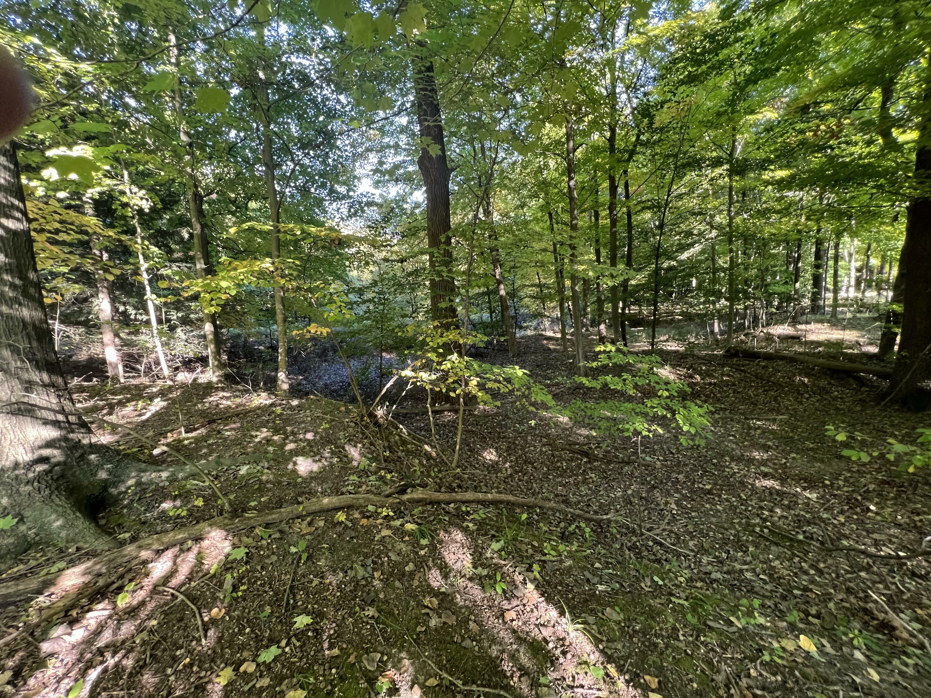 Property Photo:  Lot 55 Creekwood Drive  MI 49090 