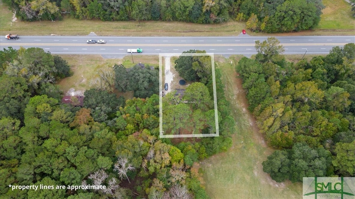 Property Photo:  13250 E Oglethorpe Highway  GA 31320 