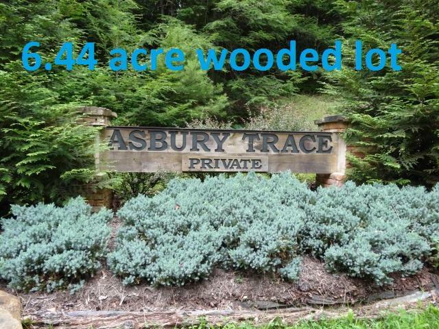 Property Photo: Lot 10 Asbury Trce WV 24901