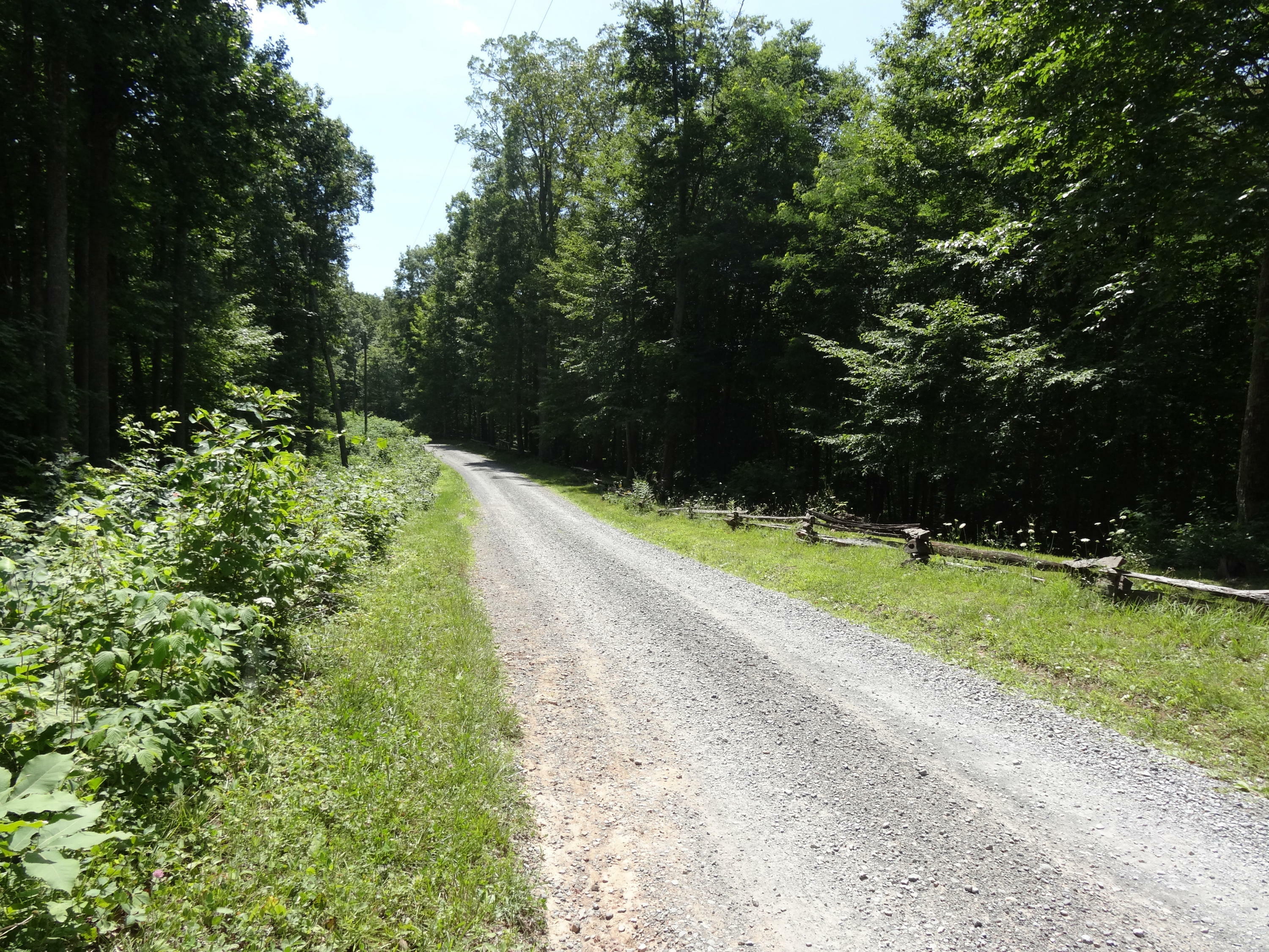 Property Photo: Lot 39 Mountain View Parkway WV 24910