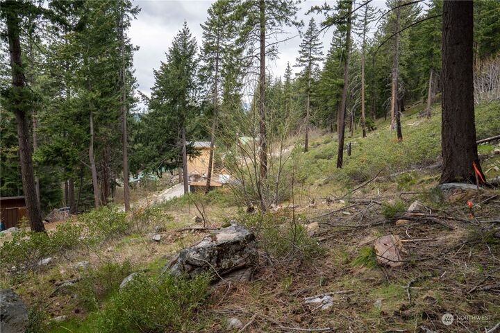 Property Photo:  32 Fall Creek Lane  WA 98826 