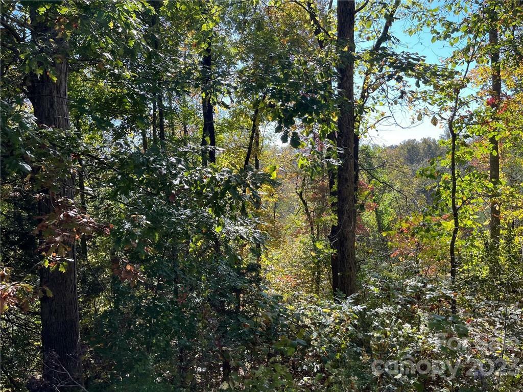 Property Photo:  000 Rambling Creek Road 11  NC 28782 