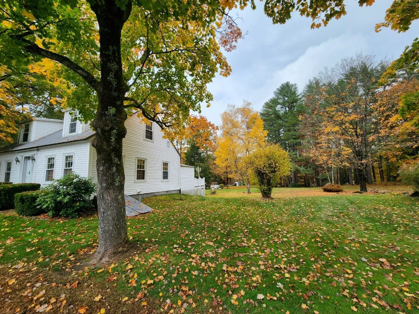 Property Photo:  28 River Road  NH 03303 