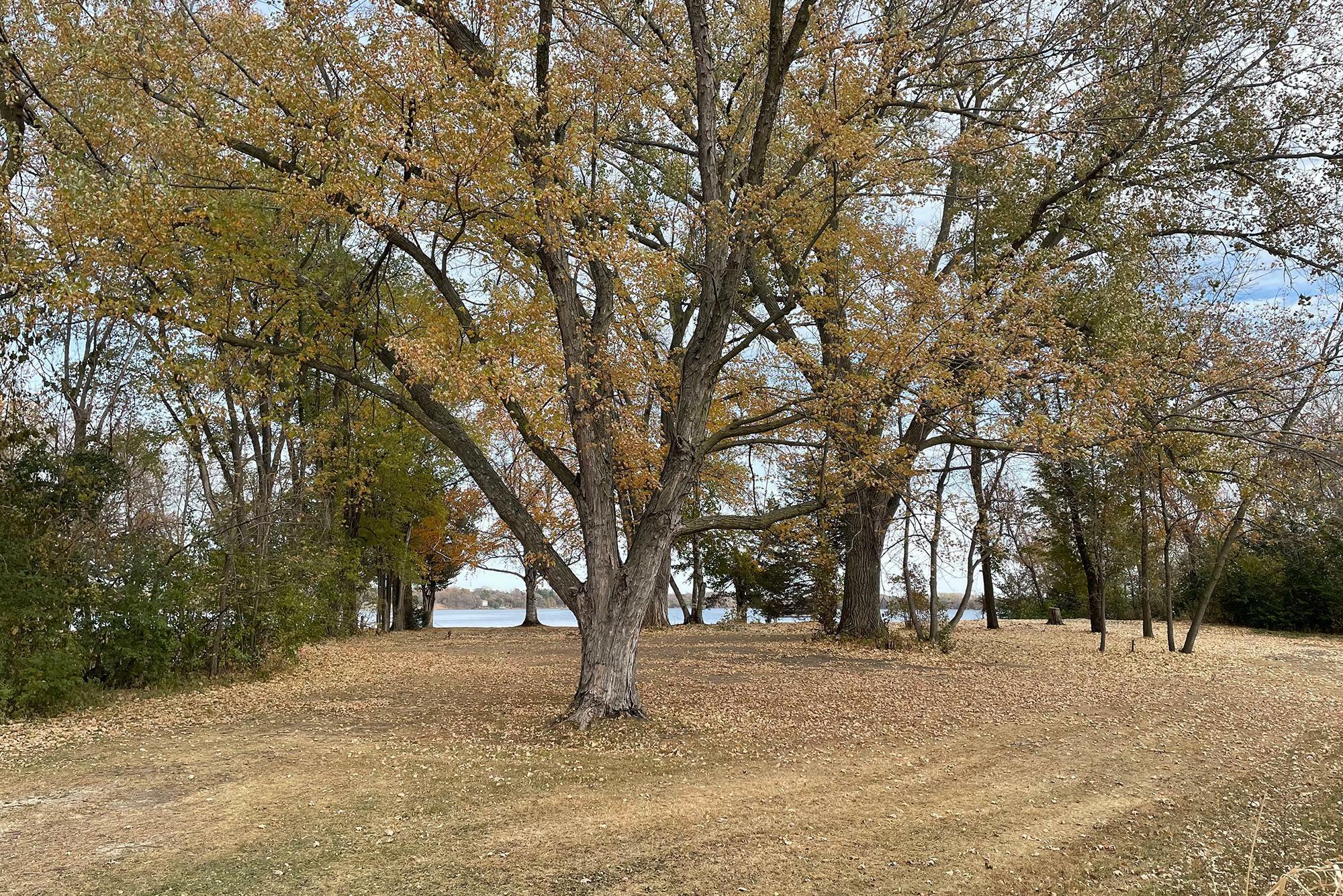 Property Photo:  Lot N Sunrise Trail  MN 56063 