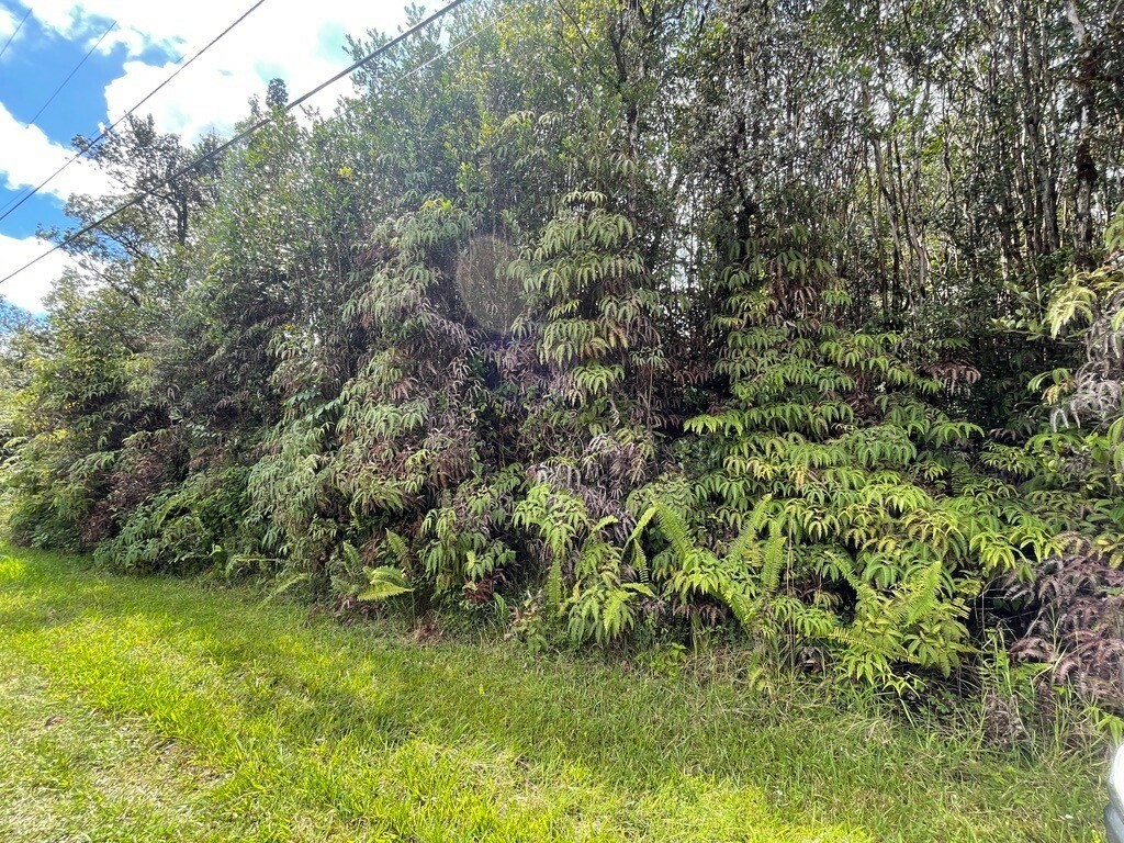 Property Photo:  Hibiscus St  HI 96771 