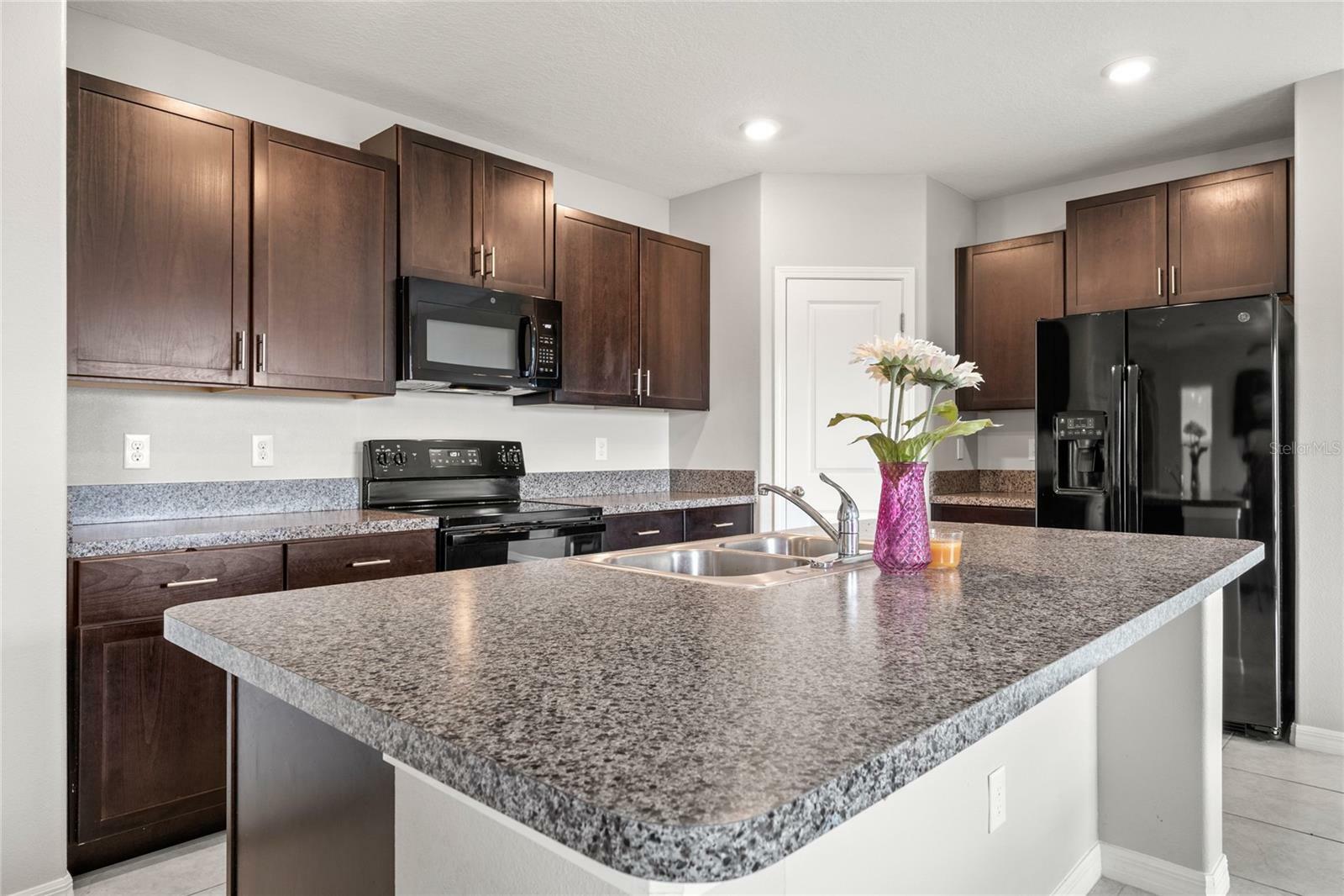 Property Photo:  17156 Yellow Pine Street  FL 33598 