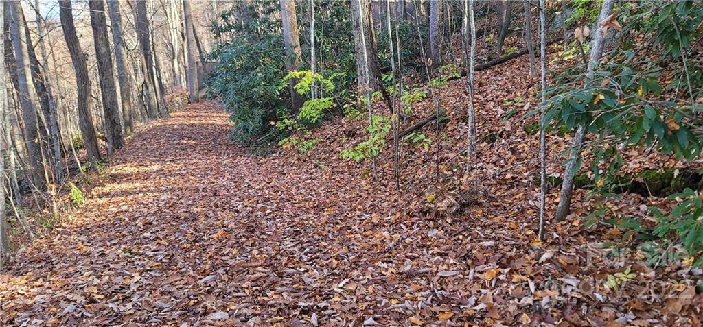 Property Photo: Lot 10 Sanctuary Road NC 28751