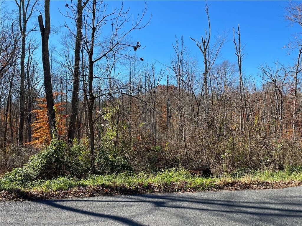 Property Photo:  Lake Shore Drive  NY 12566 