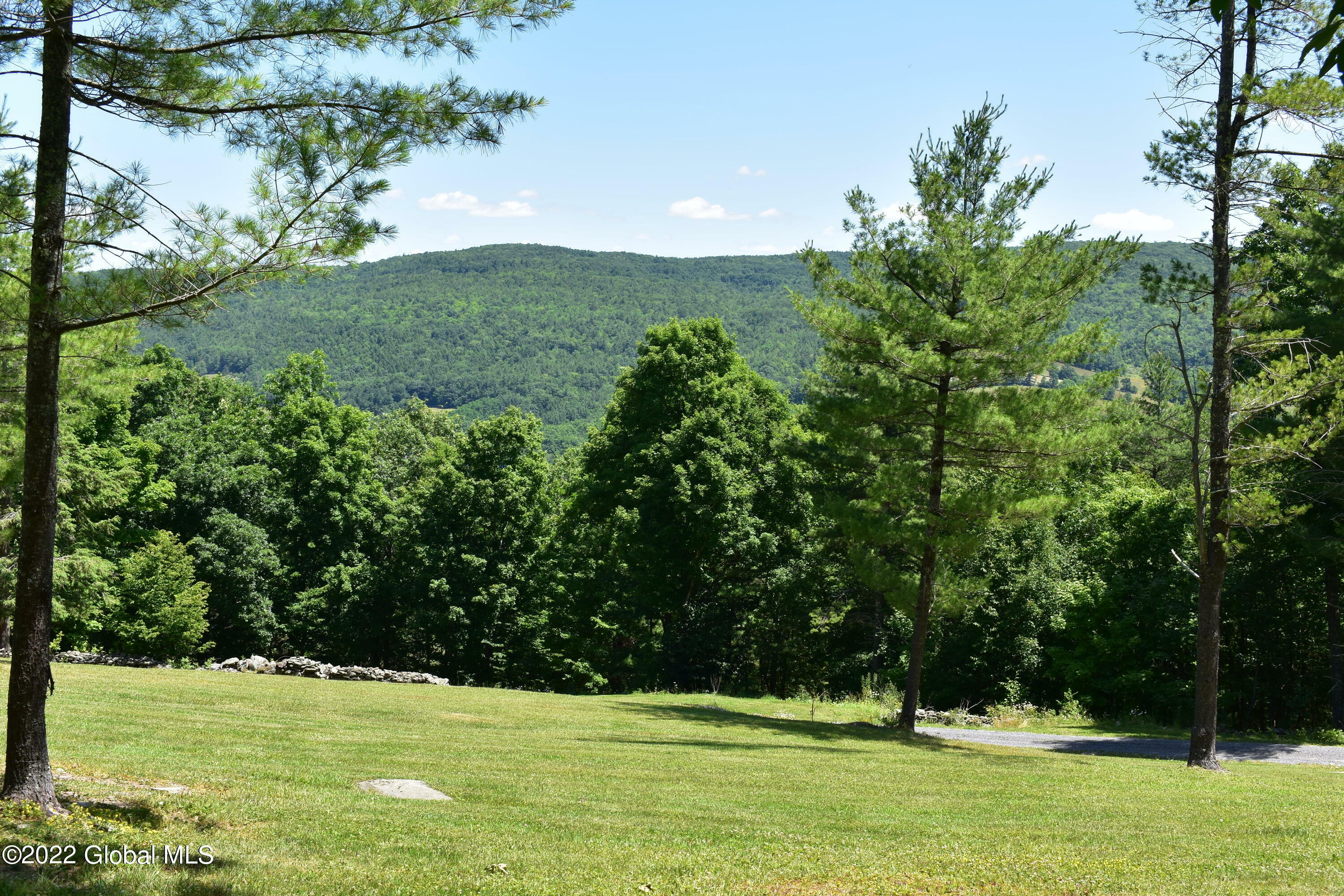 Property Photo:  856 Keyserkill Road  NY 12122 