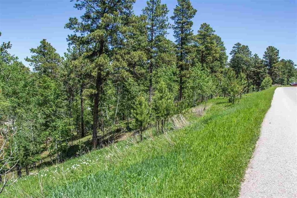 Property Photo:  Lot 1 Blk 3A Hearst Avenue  SD 57754 